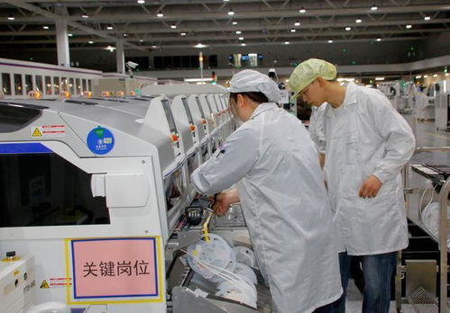 芯片榮獲最高級別認證 兩江新區以硬科技為引擎，驅動技術服務創新升級